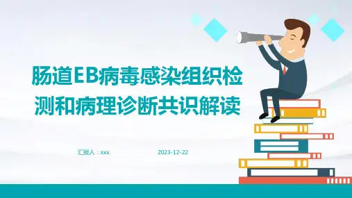 肠道EB病毒感染组织检测和病理诊断共识解读PPT课件