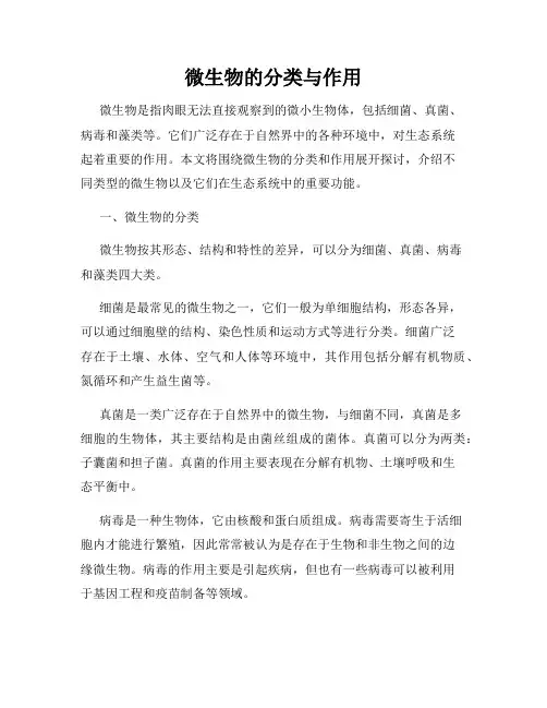 微生物的分类与作用