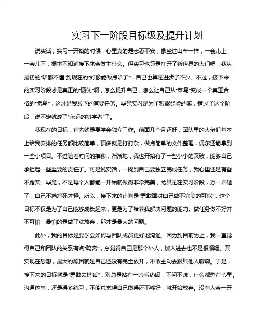 实习下一阶段目标级及提升计划