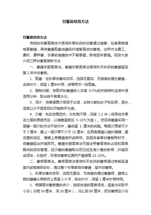甘薯苗培育方法
