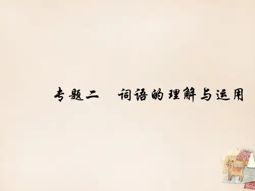 2020中考语文总复习 第二部分 积累与运用 专题二 词语的理解与运用习题课件 新人教版
