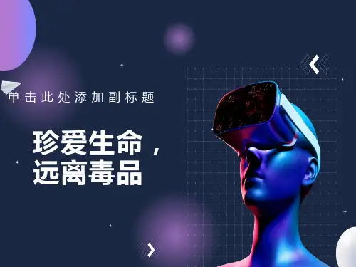 禁毒教育课件PPT