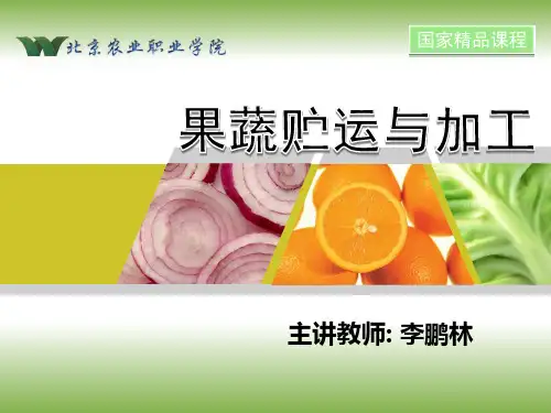 蔬菜腌制