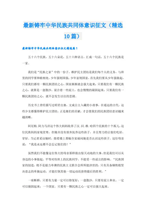 最新铸牢中华民族共同体意识征文(精选10篇)