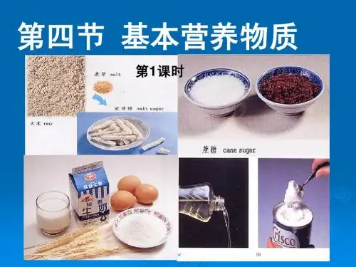 _基本营养物质1ppt