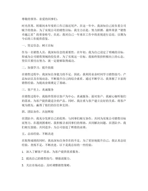 销售卓越之星总结范文