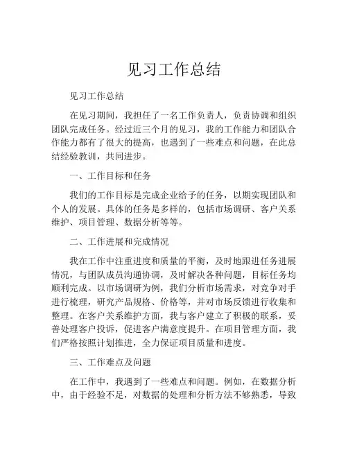 见习工作总结(精选10篇)