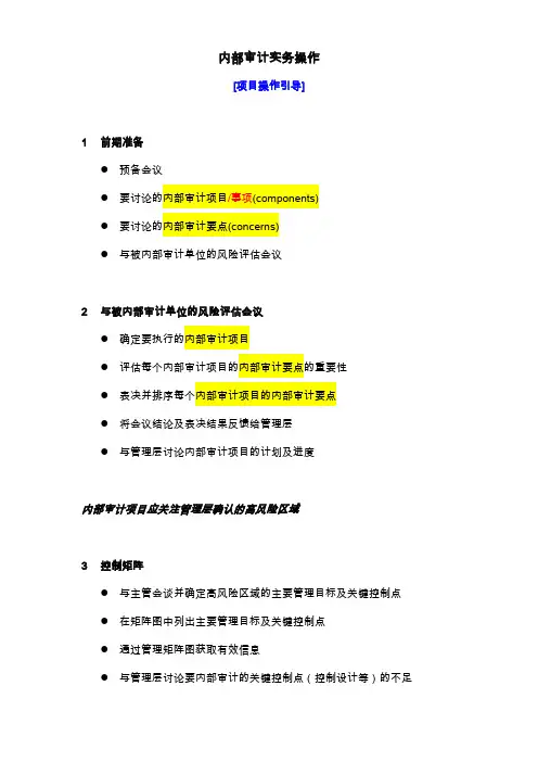 内部审计实务操作指引