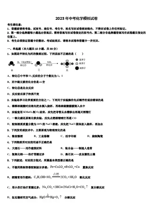 江苏省射阳实验初中达标名校2023年中考化学最后冲刺浓缩精华卷含解析