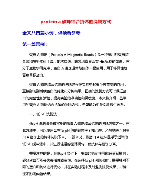 protein a磁珠结合抗体的洗脱方式