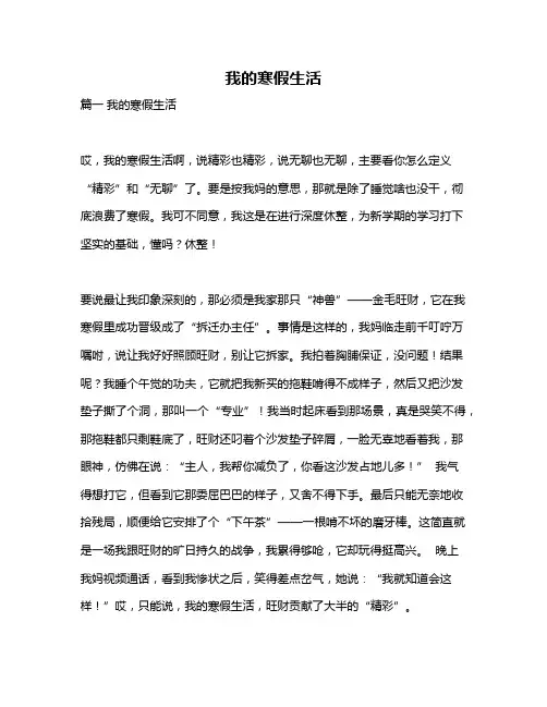 作文《我的寒假生活》