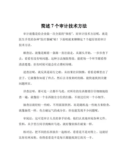 简述7个审计技术方法