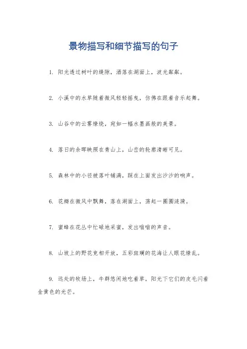 景物描写和细节描写的句子