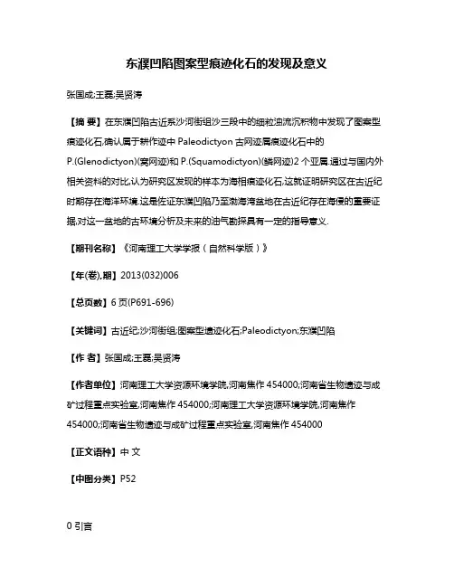 东濮凹陷图案型痕迹化石的发现及意义