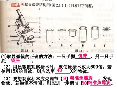 人教版七年级生物上册第二单元第一章第二节植物细胞 课件