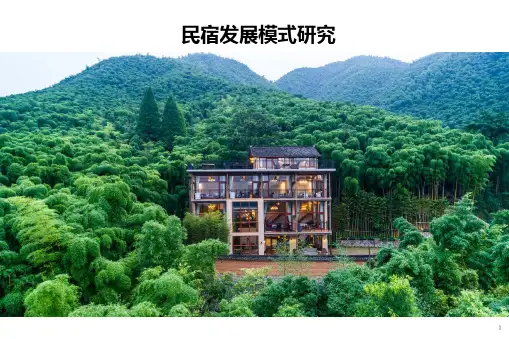 民宿发展模式研究含3个案例(精品)
