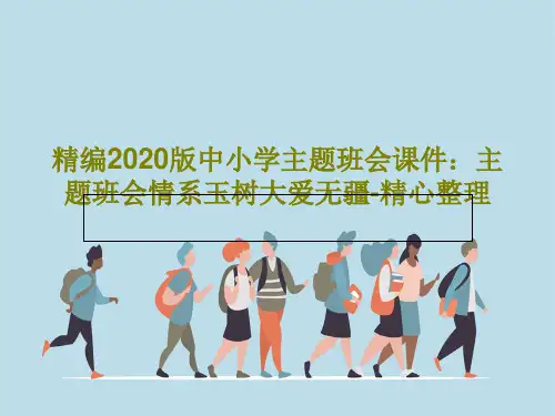 精编2020版中小学主题班会课件：主题班会情系玉树大爱无疆-精心整理PPT28页