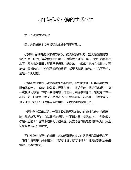 四年级作文小狗的生活习性