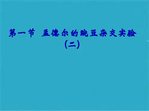 孟德尔的豌豆杂交试验二ppt课件(共19张PPT)