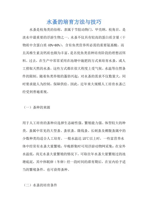 水蚤的培育方法与技巧