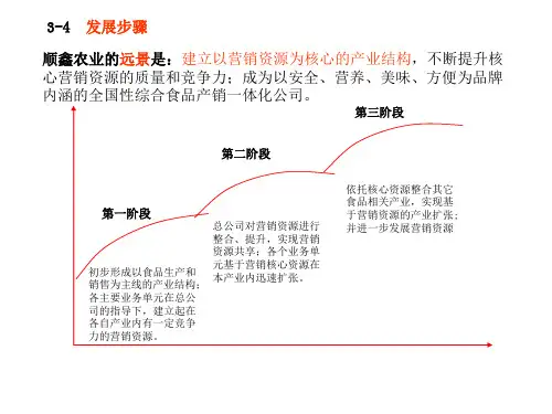 发展战略示意图