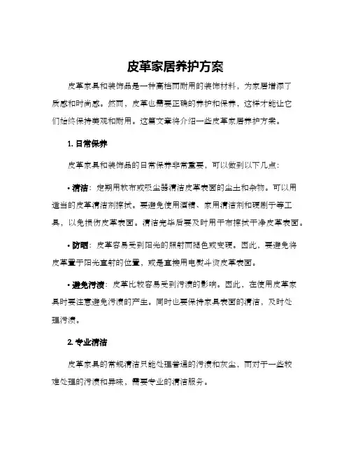 皮革家居养护方案
