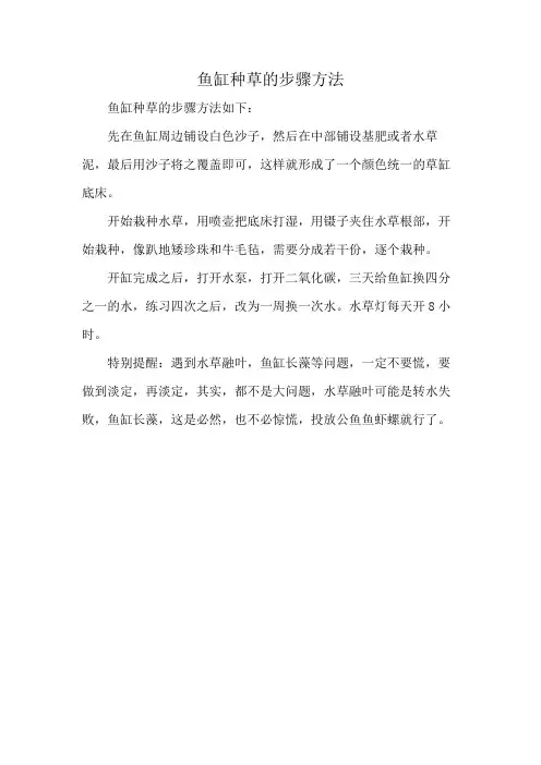 鱼缸种草的步骤方法