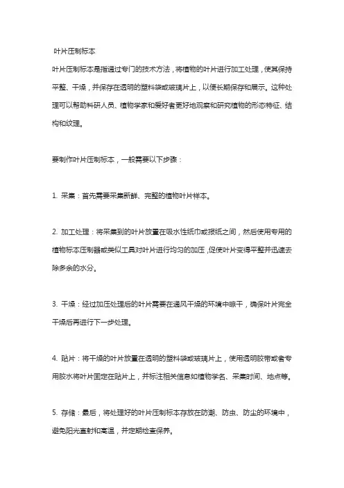 叶片压制标本
