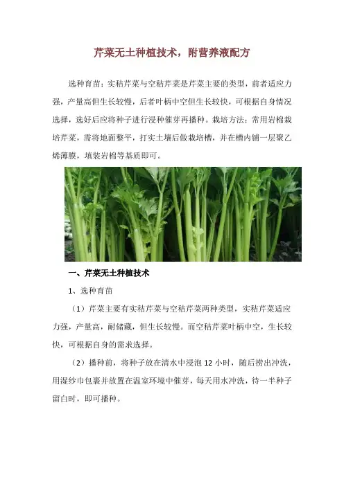 芹菜无土种植技术,附营养液配方