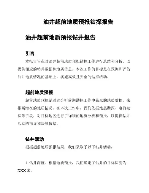 油井超前地质预报钻探报告
