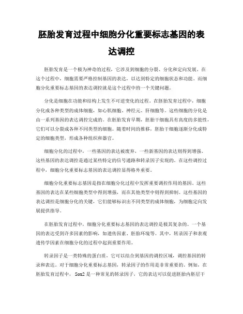 胚胎发育过程中细胞分化重要标志基因的表达调控