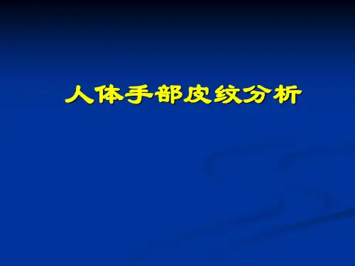 人体手部皮纹分析
