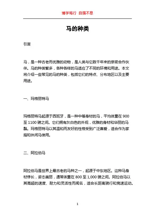 马的种类_精品文档