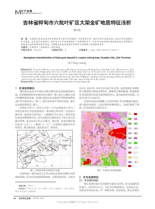 211085654_吉林省桦甸市六批叶矿区大架金矿地质特征浅析
