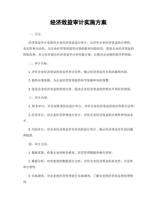 经济效益审计实施方案
