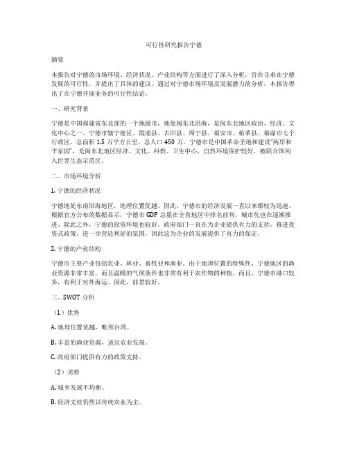 可行性研究报告宁德