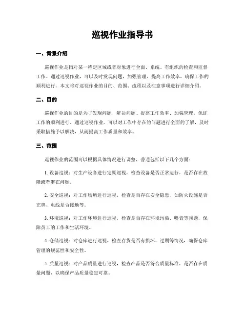 巡视作业指导书