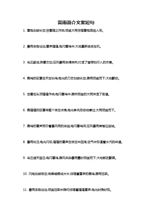 雷雨简介文案短句