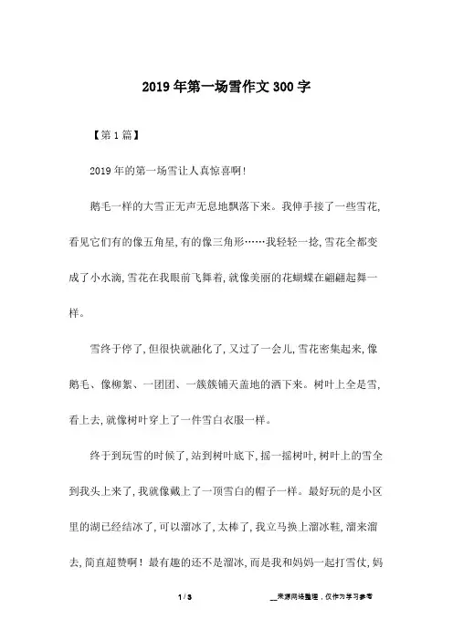 2019年第一场雪作文300字