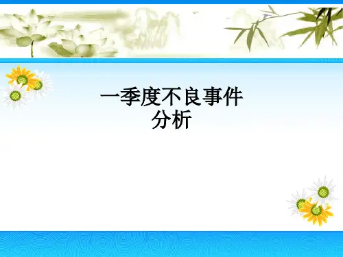 一季度不良事件分析ppt课件