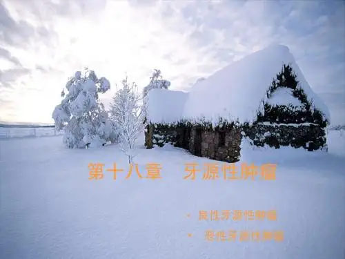 第十八章  牙源性肿瘤