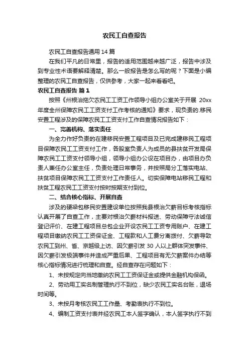 农民工自查报告