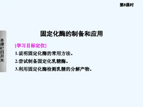 固定化酶的制备和应用 PPT课件