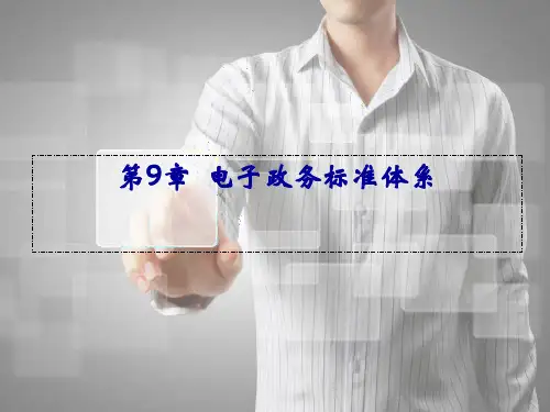 第9章 电子政务标准《电子政务》PPT课件
