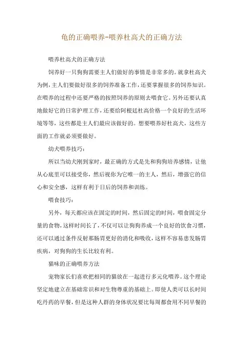 龟的正确喂养-喂养杜高犬的正确方法