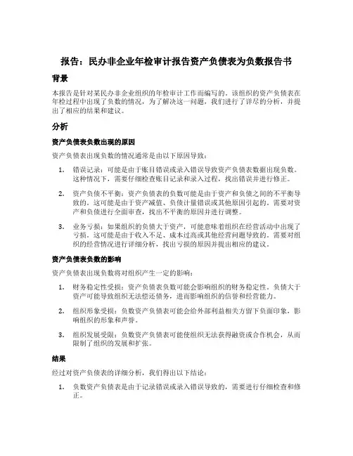 民办非企业年检审计报告资产负债表为负数报告书