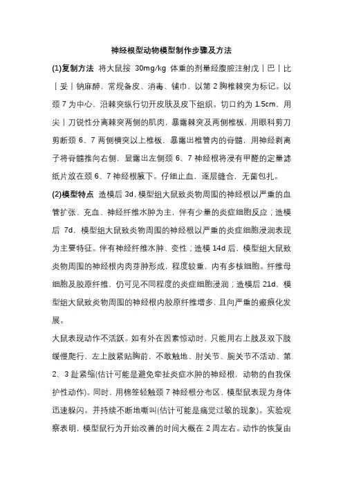 神经根型动物模型制作步骤及方法