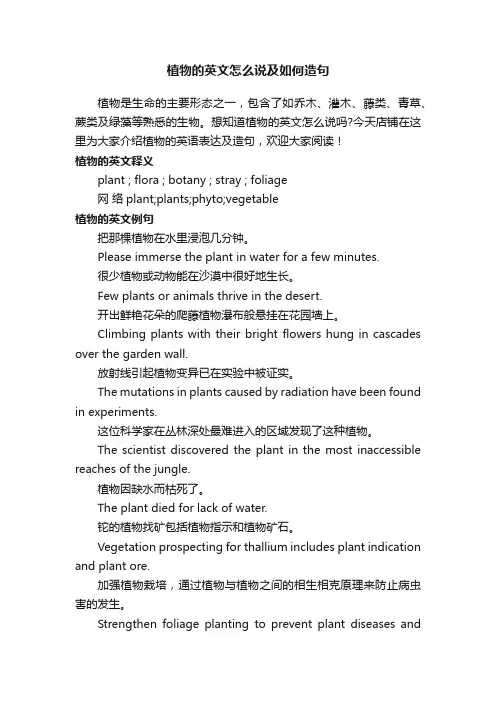 植物的英文怎么说及如何造句