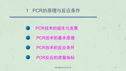 聚合酶链反应及其应用课件