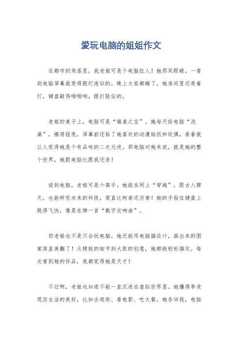爱玩电脑的姐姐作文